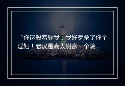 “你这般羞辱我，我好歹杀了你个淫妇！老汉是高太尉家一个院公。”拼音出处和意思