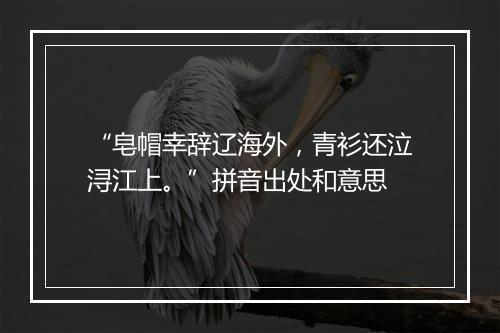 “皂帽幸辞辽海外，青衫还泣浔江上。”拼音出处和意思