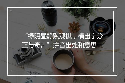 “绿阴昼静熟观棋，横出宁分正与奇。”拼音出处和意思