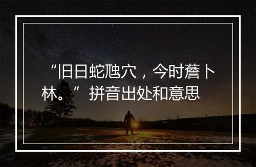 “旧日蛇虺穴，今时薝卜林。”拼音出处和意思