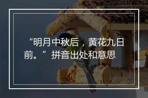 “明月中秋后，黄花九日前。”拼音出处和意思