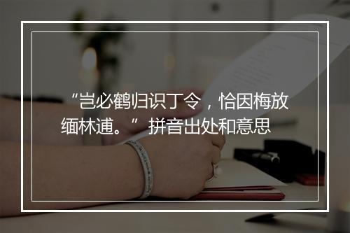 “岂必鹤归识丁令，恰因梅放缅林逋。”拼音出处和意思