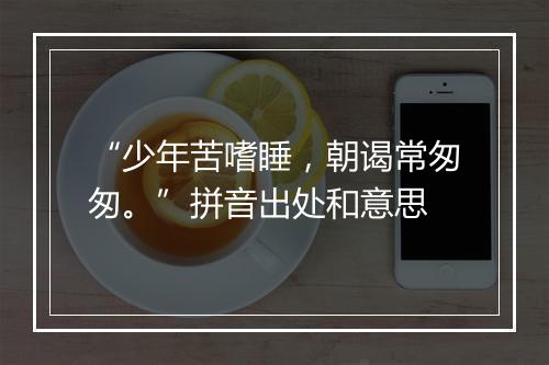 “少年苦嗜睡，朝谒常匆匆。”拼音出处和意思