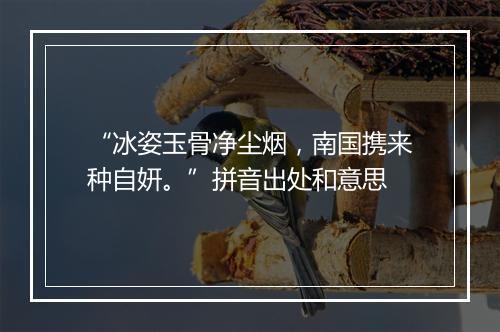 “冰姿玉骨净尘烟，南国携来种自妍。”拼音出处和意思