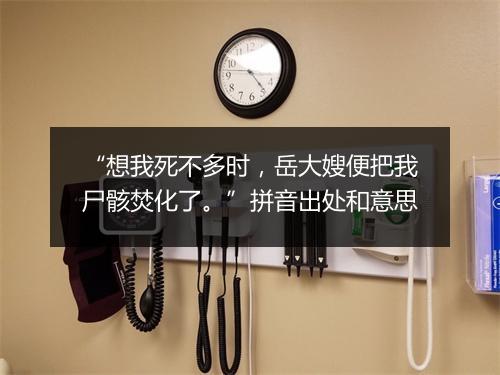 “想我死不多时，岳大嫂便把我尸骸焚化了。”拼音出处和意思