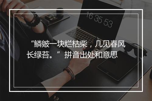 “鳞皴一块烂枯柴，几见春风长绿苔。”拼音出处和意思