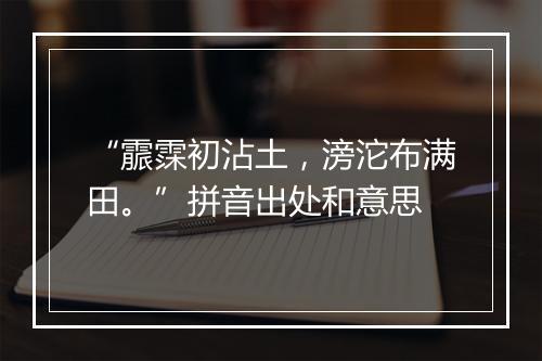 “霢霂初沾土，滂沱布满田。”拼音出处和意思