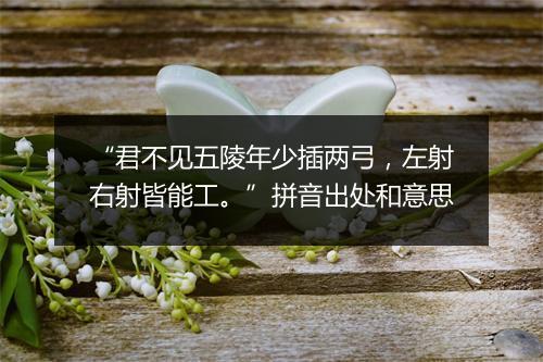 “君不见五陵年少插两弓，左射右射皆能工。”拼音出处和意思