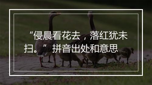 “侵晨看花去，落红犹未扫。”拼音出处和意思