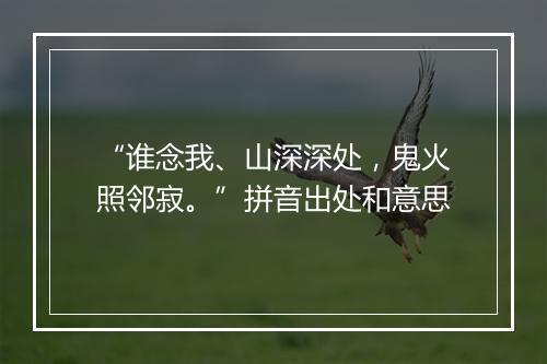 “谁念我、山深深处，鬼火照邻寂。”拼音出处和意思