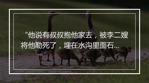 “他说有叔叔抱他家去，被李二嫂将他勒死了，埋在水沟里面石板底下。”拼音出处和意思