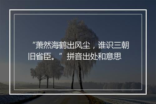 “萧然海鹤出风尘，谁识三朝旧省臣。”拼音出处和意思