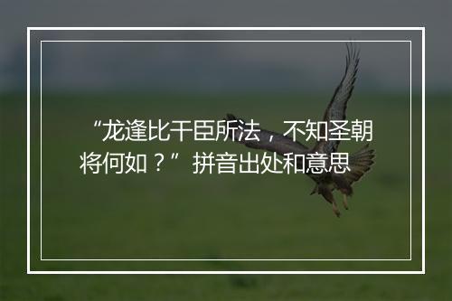 “龙逢比干臣所法，不知圣朝将何如？”拼音出处和意思