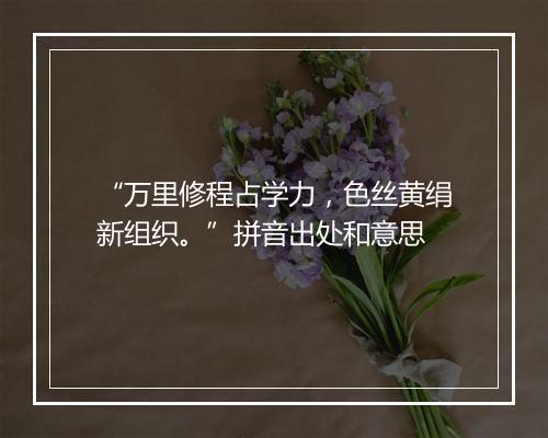 “万里修程占学力，色丝黄绢新组织。”拼音出处和意思