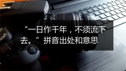 “一日作千年，不须流下去。”拼音出处和意思