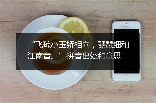 “飞琼小玉娇相向，琵琶细和江南音。”拼音出处和意思