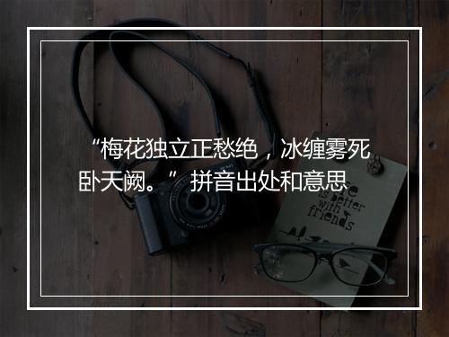 “梅花独立正愁绝，冰缠雾死卧天阙。”拼音出处和意思