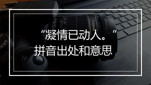 “凝情已动人。”拼音出处和意思