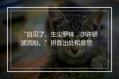 “自见了、生尘罗袜，尔许娇波流盼。”拼音出处和意思