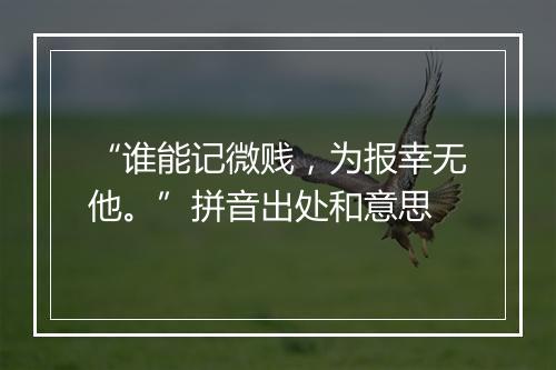 “谁能记微贱，为报幸无他。”拼音出处和意思