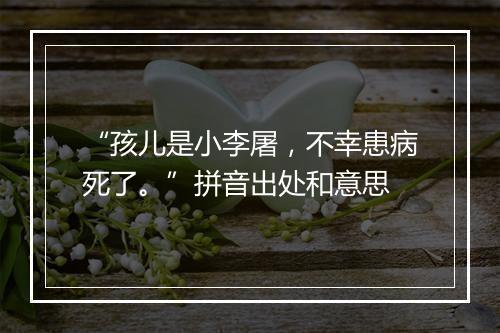 “孩儿是小李屠，不幸患病死了。”拼音出处和意思