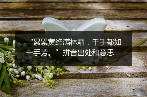 “累累黄绉满林霜，千手都如一手芳。”拼音出处和意思