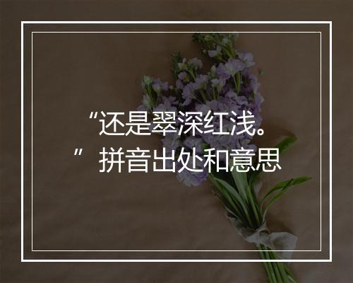 “还是翠深红浅。”拼音出处和意思