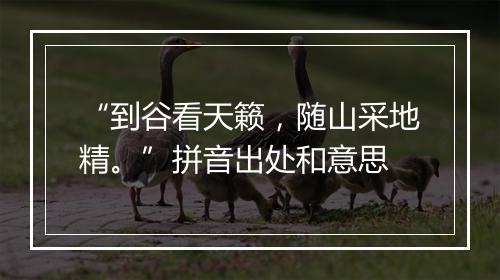 “到谷看天籁，随山采地精。”拼音出处和意思