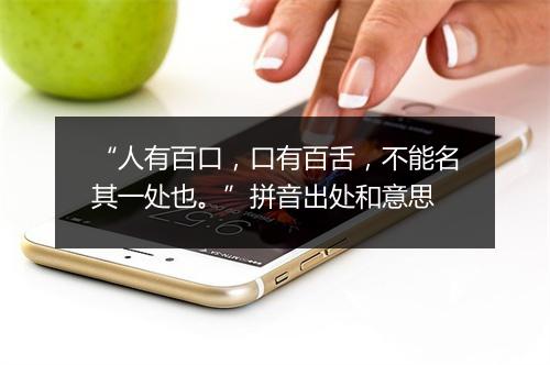 “人有百口，口有百舌，不能名其一处也。”拼音出处和意思