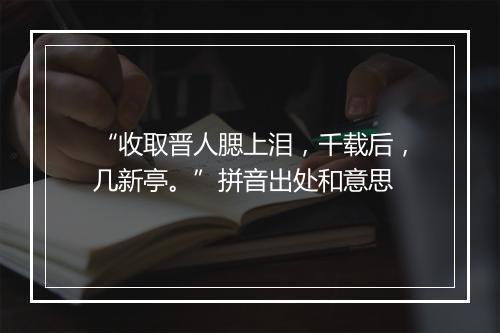 “收取晋人腮上泪，千载后，几新亭。”拼音出处和意思