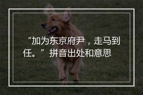 “加为东京府尹，走马到任。”拼音出处和意思