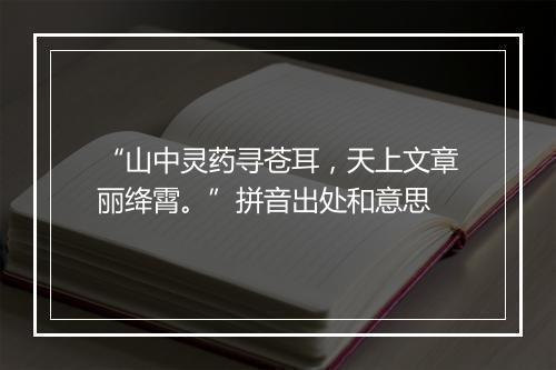 “山中灵药寻苍耳，天上文章丽绛霄。”拼音出处和意思