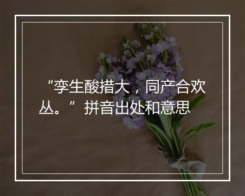 “孪生酸措大，同产合欢丛。”拼音出处和意思