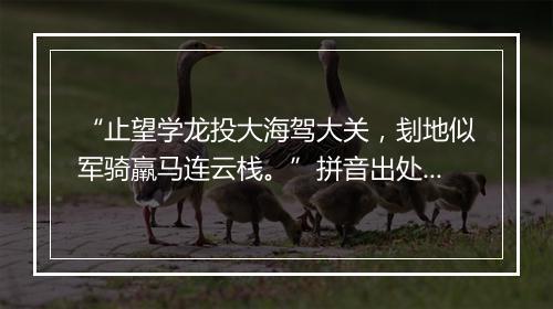 “止望学龙投大海驾大关，刬地似军骑羸马连云栈。”拼音出处和意思