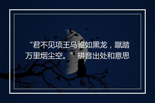 “君不见项王乌骓如黑龙，蹴踏万里烟尘空。”拼音出处和意思