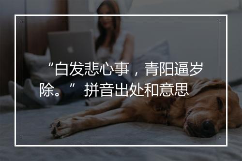 “白发悲心事，青阳逼岁除。”拼音出处和意思