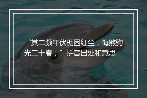 “其二频年伏枥困红尘，悔煞驹光二十春；”拼音出处和意思