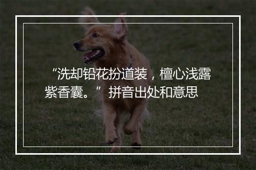 “洗却铅花扮道装，檀心浅露紫香囊。”拼音出处和意思