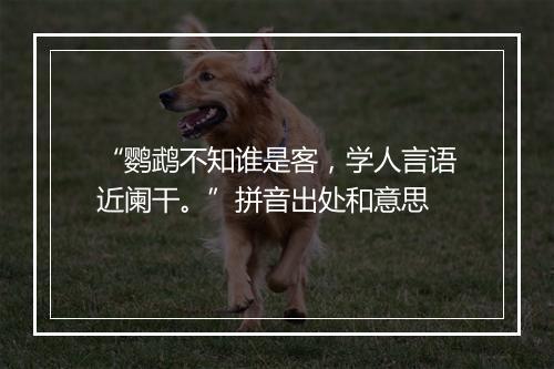 “鹦鹉不知谁是客，学人言语近阑干。”拼音出处和意思