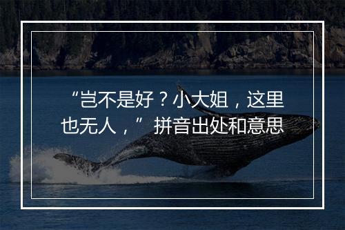 “岂不是好？小大姐，这里也无人，”拼音出处和意思