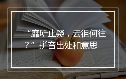 “靡所止疑，云徂何往？”拼音出处和意思