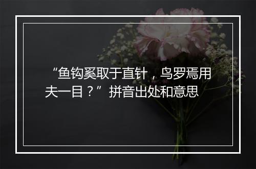 “鱼钩奚取于直针，鸟罗焉用夫一目？”拼音出处和意思