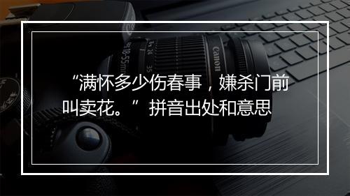 “满怀多少伤春事，嫌杀门前叫卖花。”拼音出处和意思