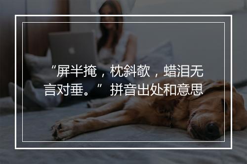 “屏半掩，枕斜欹，蜡泪无言对垂。”拼音出处和意思