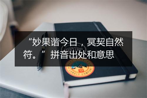 “妙果谐今日，冥契自然符。”拼音出处和意思