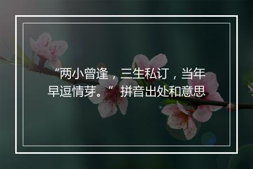 “两小曾逢，三生私订，当年早逗情芽。”拼音出处和意思