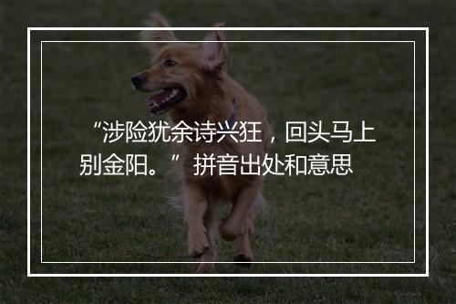 “涉险犹余诗兴狂，回头马上别金阳。”拼音出处和意思