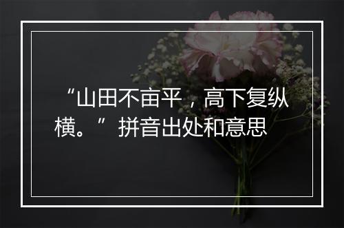 “山田不亩平，高下复纵横。”拼音出处和意思