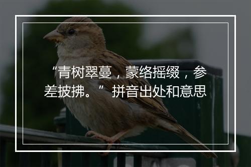 “青树翠蔓，蒙络摇缀，参差披拂。”拼音出处和意思