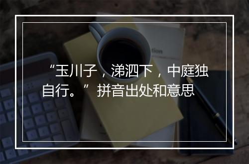 “玉川子，涕泗下，中庭独自行。”拼音出处和意思